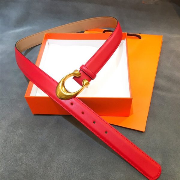 Gancio Belt - Image 3