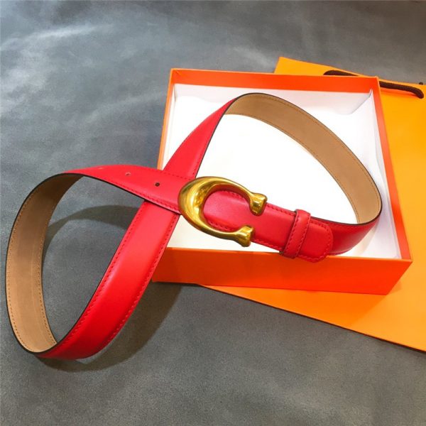 Gancio Belt - Image 4