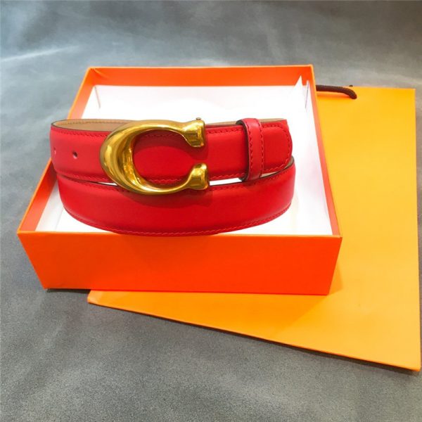 Gancio Belt - Image 5
