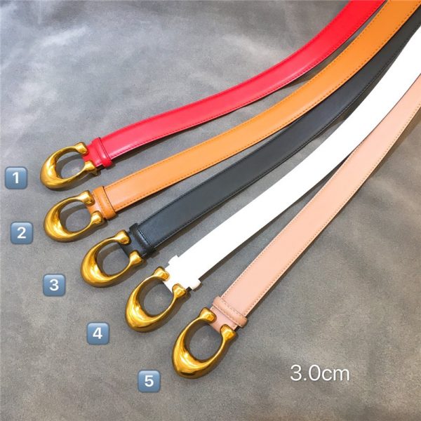 Gancio Belt - Image 7