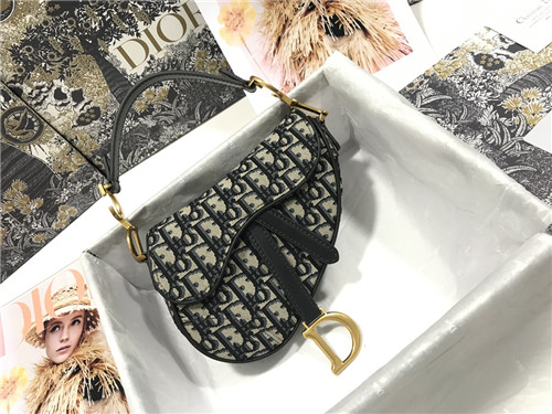 dior saddle bag small