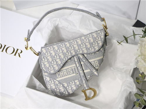 dior saddle oblique bag