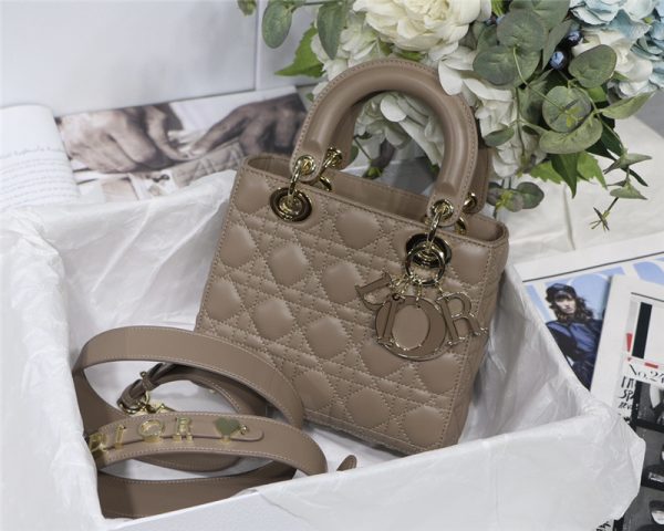 lady dior my abcdior bag small