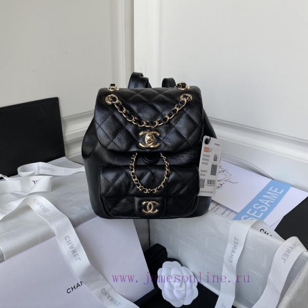 Chanel Bag Chanel 22 early spring new DUMA backpack model AS2908 oil wax cowhide versatile b n0npemcs