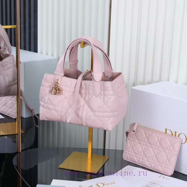 The pink new Toujours handbag, a Dior Toujours handbag, made a wonderful debut in the 2023 S o6spfgtk