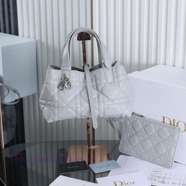 Cloud Grey's new Toujours handbag, this Dior Toujours handbag, made a wonderful debut in the ova22vjf