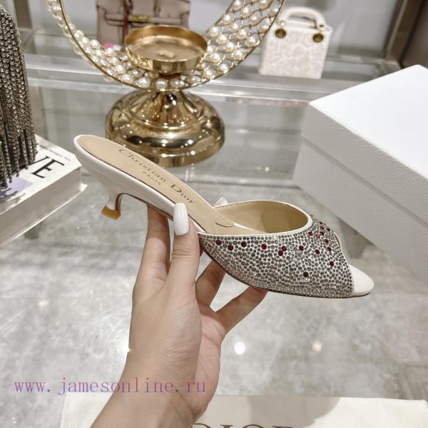 Top tierDior 2024 Spring/Summer New Fish Mouth Slippers Round Headed Mary Jane Heels Top in s4iaq64i - Image 6