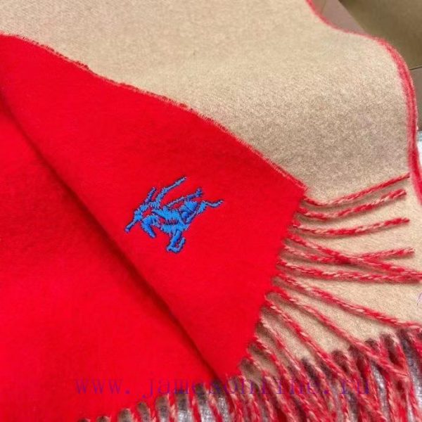𝐁𝐔𝐑𝐁𝐄𝐑𝐑𝐘 Double sided solid color embroidered long scarf official website synchronized new ️j98i9q0k - Image 5