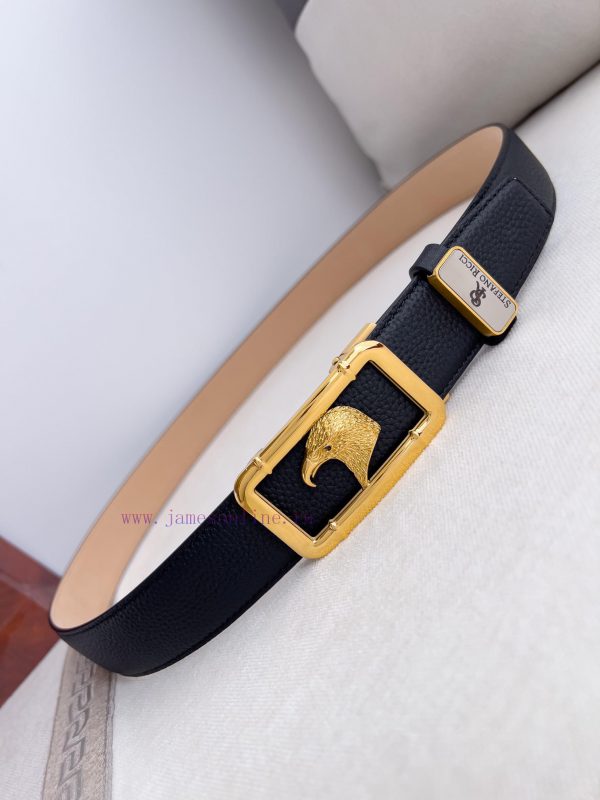 Stephen Ni Zhi Stefano Ricci Belt ️ Automatic BeltAutomatic buckle, made of pure steel mater 9mxi8xk1 - Image 6