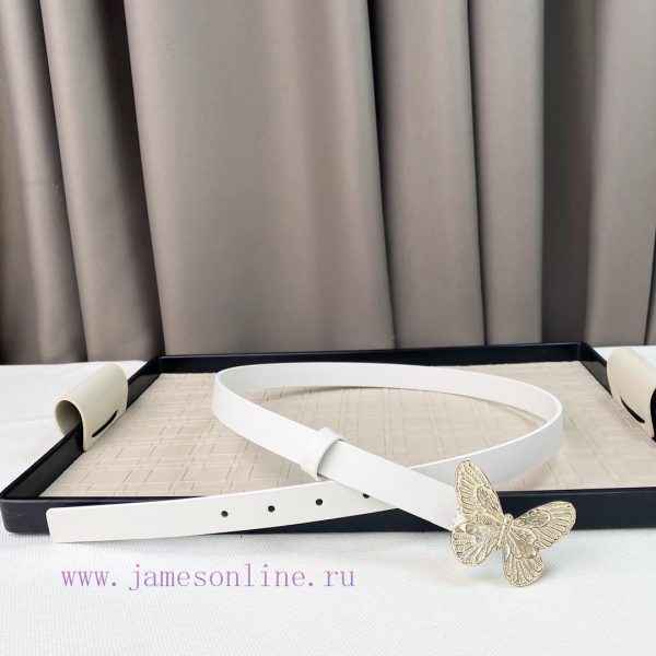 Dior 24 Early Spring New C D Buckle Brass 🦋 Cowhide belt classic forever 2.0cm j8mx8kjf - Image 3