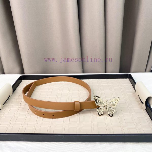 Dior 24 Early Spring New C D Buckle Brass 🦋 Cowhide belt classic forever 2.0cm p0x349zq - Image 6