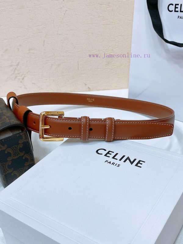 Celine Mini Belt Bag Celine Triumphal Arch Mini Waist BagAuthentic replica, with perfect det wi1bxrz8 - Image 3