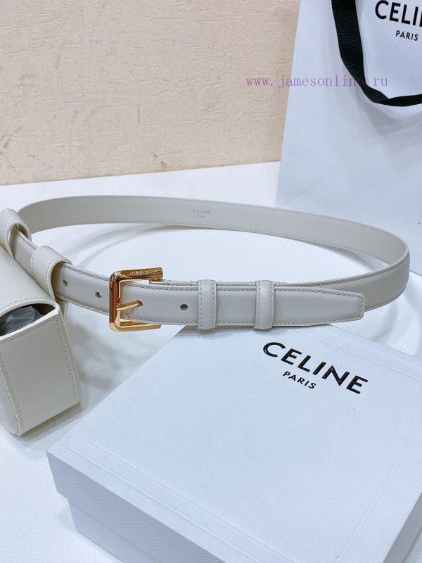 Celine Mini Belt Bag Celine Triumphal Arch Mini Waist BagAuthentic replica, with perfect det 6csebmnf - Image 3