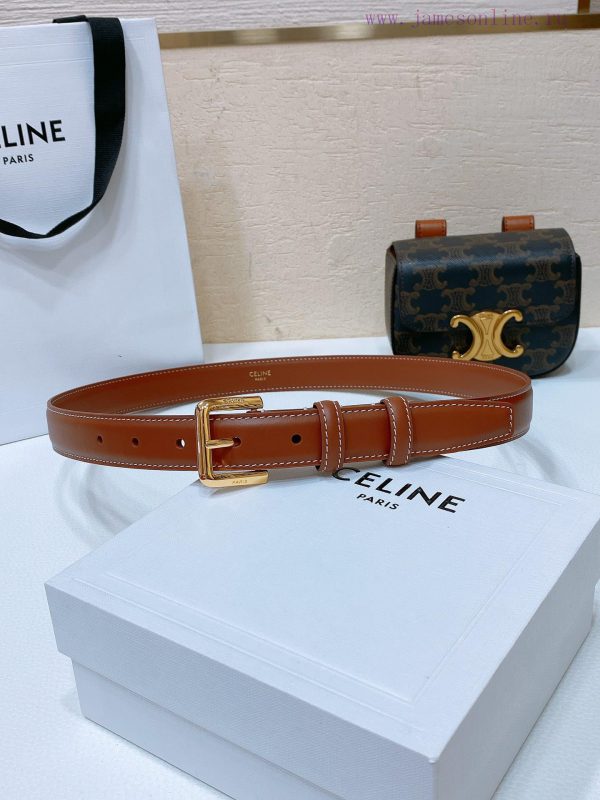Celine Mini Belt Bag Celine Triumphal Arch Mini Waist BagAuthentic replica, with perfect det wi1bxrz8 - Image 6
