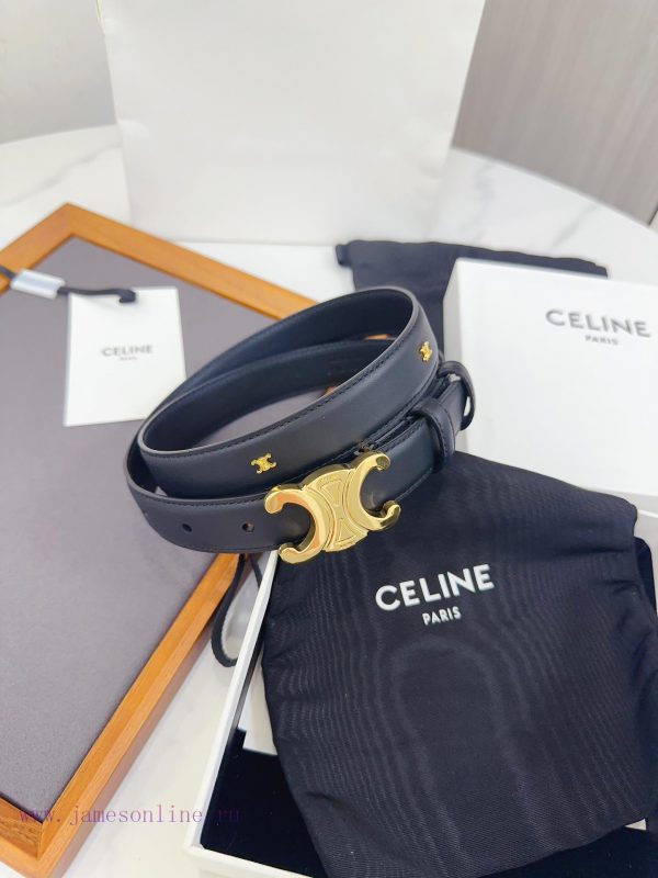 Celine has upgraded its materials with genuine IP plated steel buckles measuring 2.5 centime 64awczoz - Image 3