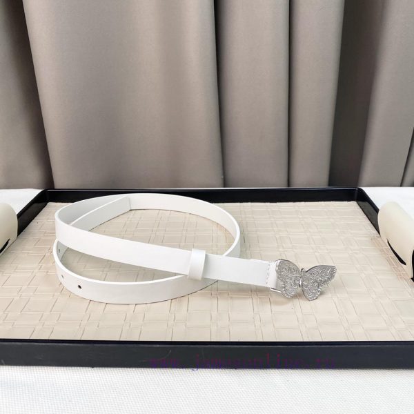 Dior 24 Early Spring New C D Buckle Brass 🦋 Cowhide belt classic forever 2.0cm g72fezms - Image 7